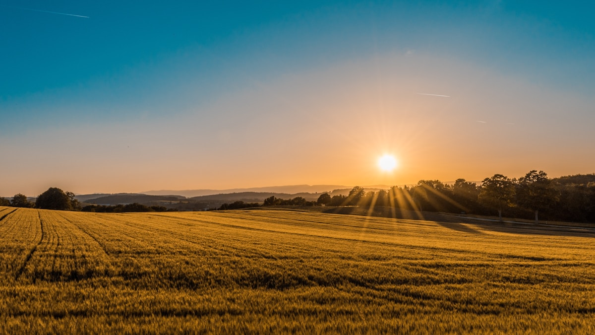Western Australian rural landscape